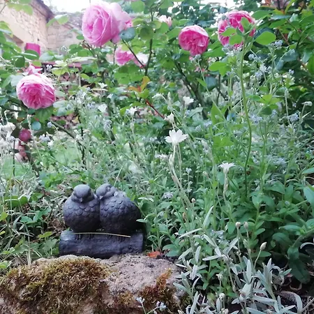 La Borie Du Chevrier Gæstehus