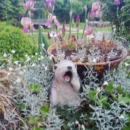 La Borie Du Chevrier *