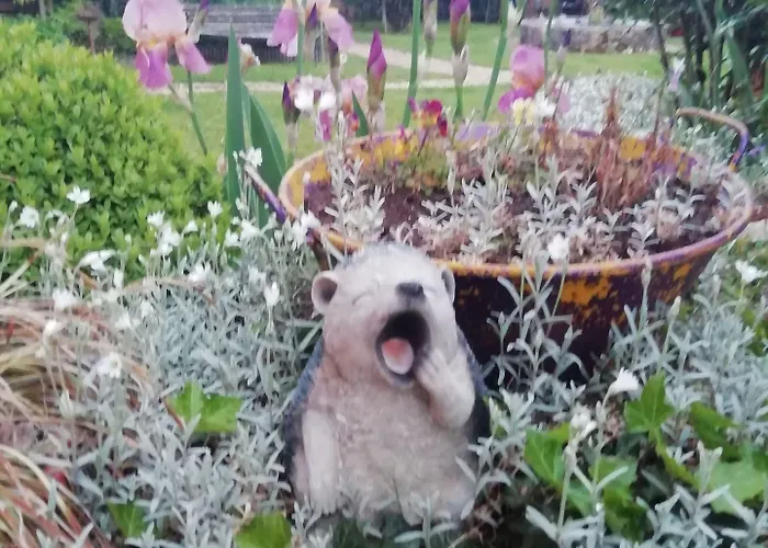 La Borie Du Chevrier *